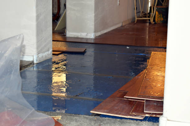 Professional Water Extraction technician working in Angelus Oaks, CA